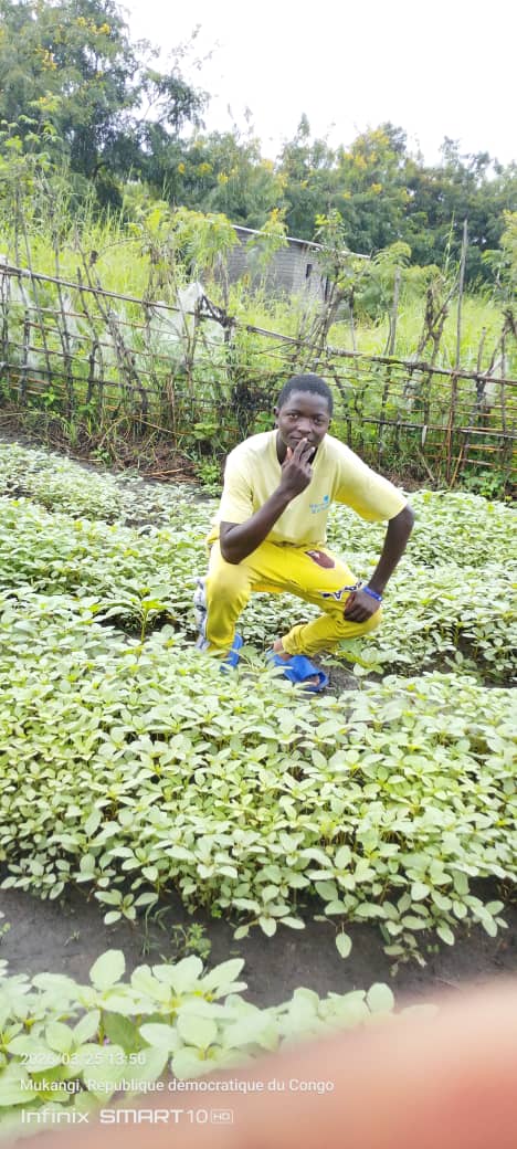 Reforestation and sustainable agriculture
